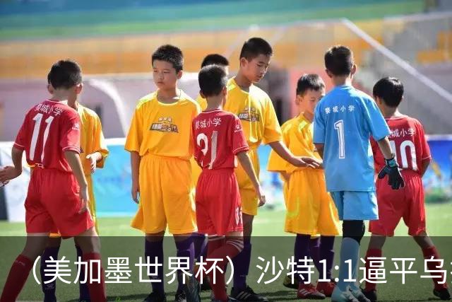 （美加墨世界杯）沙特1:1逼平乌拉圭 伊朗2:2战平新西兰